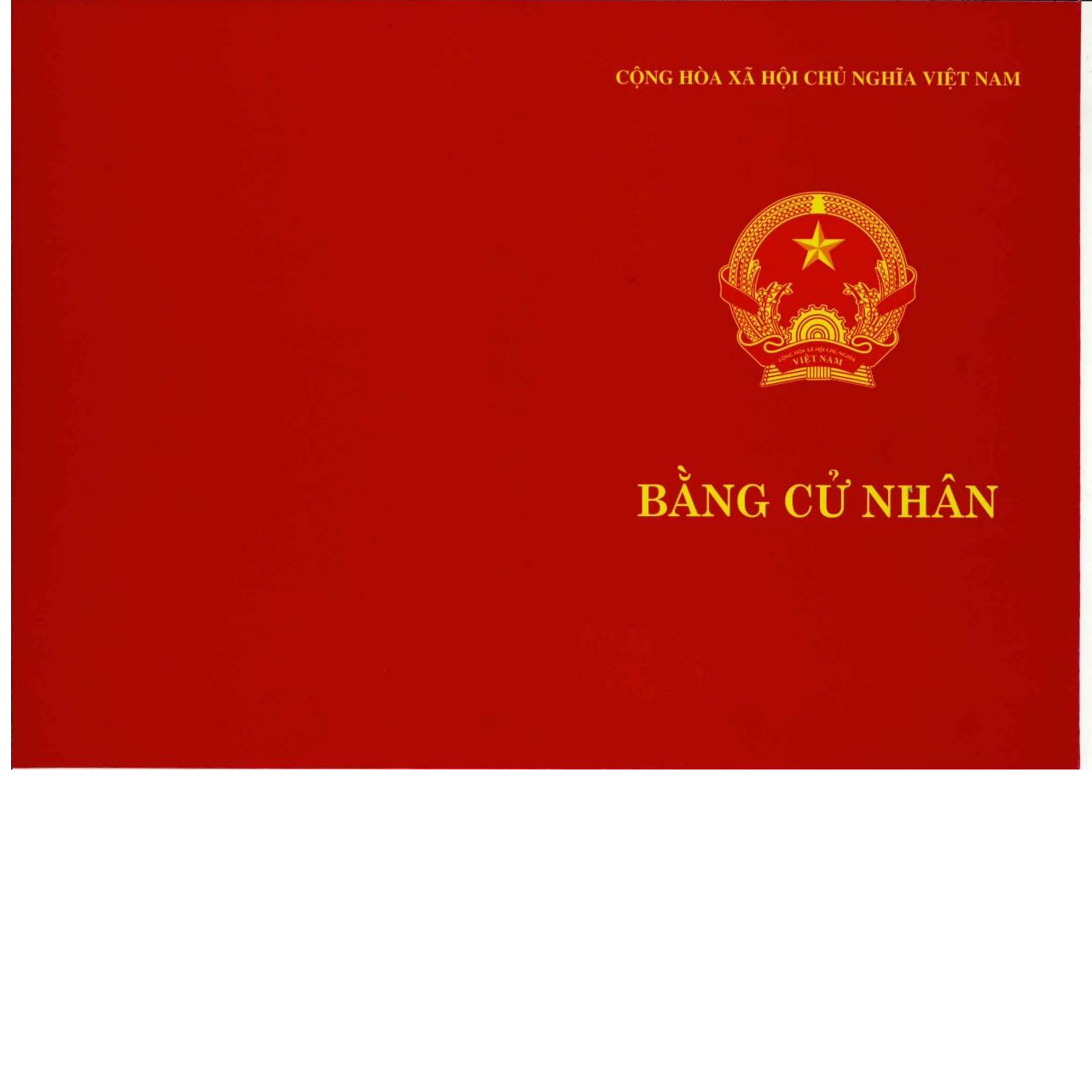 BẰNG CỬ NHÂN P1