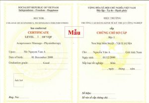 Chứng chỉ học Xoa Bóp Bấm Huyệt - Vật Lý Trị Liệu 