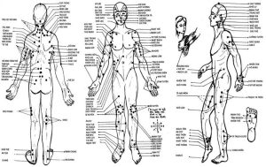 Các huyệt đạo