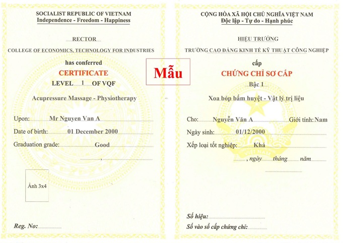 chứng chỉ xoa bóp bấm huyệt