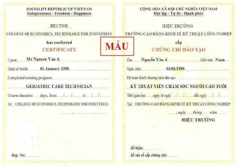 Chứng Chỉ Chăm Sóc Người Cao Tuổi