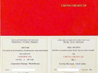 Chứng Chỉ Xoa Bóp Bấm Huyệt